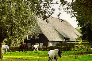 Authentieke 6 persoons vakantieboerderij op een prachtige en rustige plek in IJzendijke