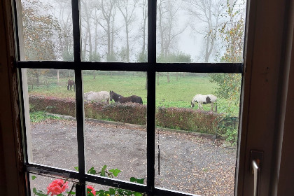 035 Authentieke 6 persoons vakantieboerderij op een prachtige en rustige plek in IJzendijke