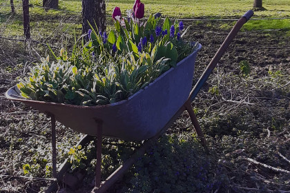 039 Authentieke 6 persoons vakantieboerderij op een prachtige en rustige plek in IJzendijke