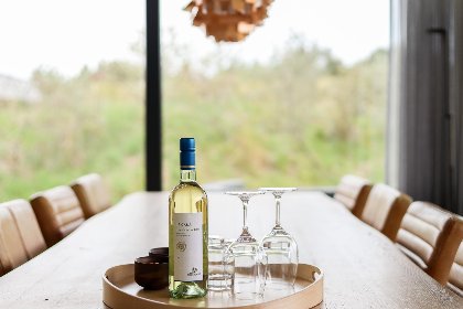 003 Duinvallei Lodge Zeeland