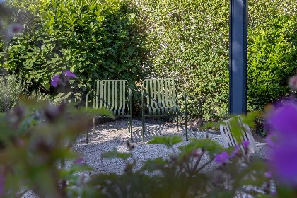 008 Meerhuis Cardium