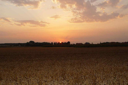 020 Vakantiehuis voor 6 personen gelegen in de polder van Kamperland