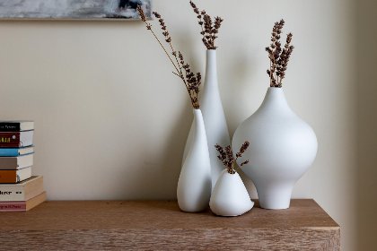 030 Veerse Meer Natuurvilla