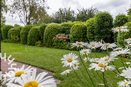 021 Vrijstaande 5 persoons bungalow met ruime tuin en vlakbij het Veerse Meer