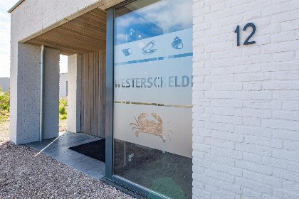 063 Zandbank 12 | De Groote Duynen