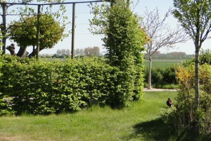 002 18 persoons groepsaccommodatie in Kattendijke omringd door de natuur