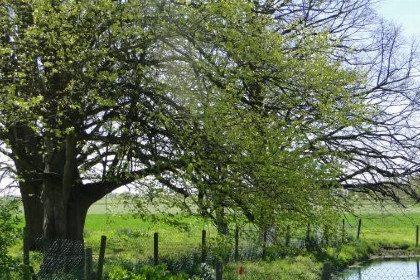 003 18 persoons groepsaccommodatie in Kattendijke omringd door de natuur