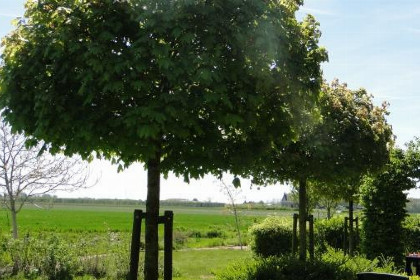 016 18 persoons groepsaccommodatie in Kattendijke omringd door de natuur