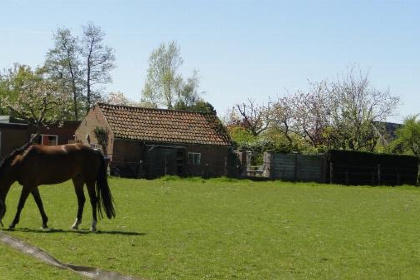 016 Luxe 18 persoons groepsaccommodatie in Kattendijke omringd door de natuur