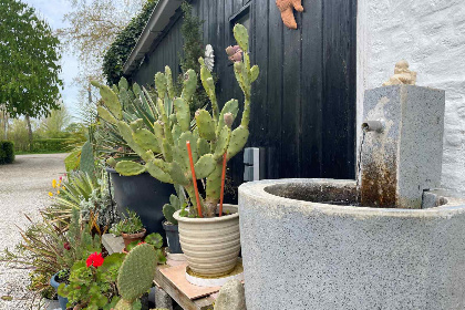 017 Een gezellig 5 persoons wagenhuis met eigen tuin, nabij strand in Dishoek