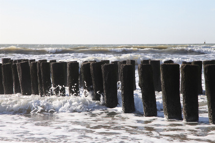 022 Een gezellig 5 persoons wagenhuis met eigen tuin, nabij strand in Dishoek