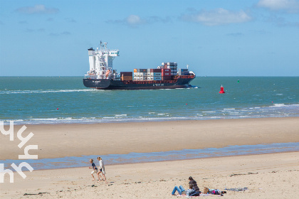 006 Knus 4 persoons vakantiehuis in het Vebenabos en vlakbij het strand