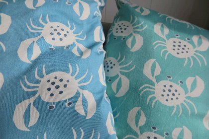 005 Slaapstrandhuisje   Strand dishoek 60 | Dishoek