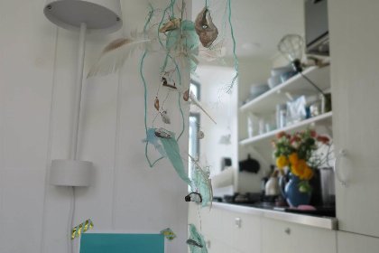 017 Slaapstrandhuisje   Strand dishoek 60 | Dishoek