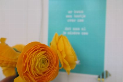 021 Slaapstrandhuisje   Strand dishoek 60 | Dishoek