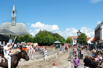 018 4 persoons bungalow aan de voet van de duinen