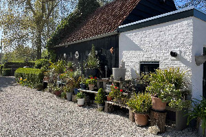 Een gezellig 5 persoons wagenhuis met eigen tuin, nabij strand in Dishoek