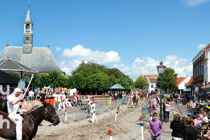 008 Ruim 7 persoons vakantiehuis in een groene omgeving en dichtbij het strand