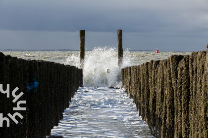 024 Ruime 6 persoons bungalow vlakbij het strand met veel privacy nabij Vlissingen