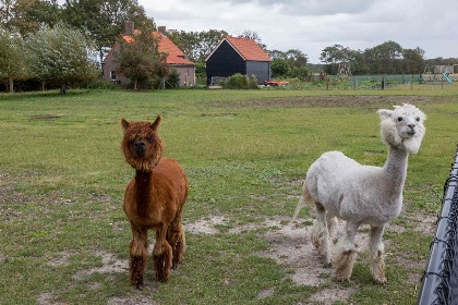 012 Rustig gelegen 4 persoons vakantiehuis nabij Koudekerke en Middelburg