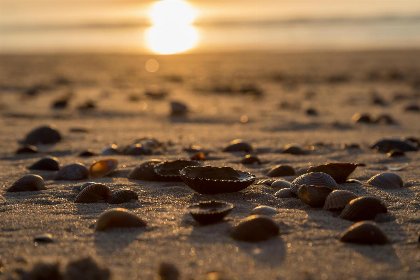 028 Slaapstrandhuisje bij Dishoek direct aan zee met panoramisch uitzicht en terras | 342