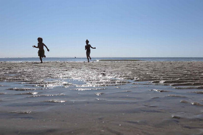 002 Slapen op het strand in dit mooie 4 persoons strandhuisje