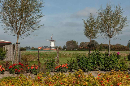 003 Tweepersoons studio met terras in Koudekerke