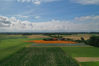 031 VZ901 Vakantiehuis in Zoutelande