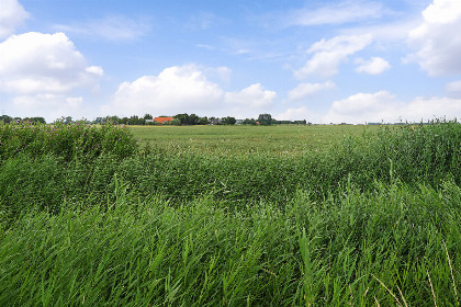 022 4 persoons vakantiewoning in Nieuwdorp