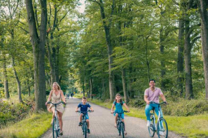 023 4 persoons vakantiewoning met verhoogde plafond op een vakantiepark in Nieuwvliet