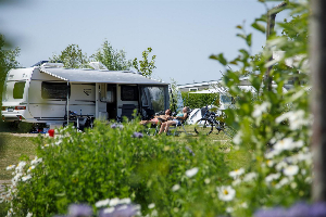 Nieuwvliet