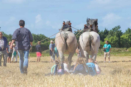 009 20 persoons groepsaccommodatie op 800 meter van het strand in Oostkapelle