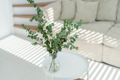 010 Duin Bos Retreat Oostkapelle