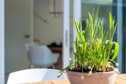 033 Duin Bos Retreat Oostkapelle