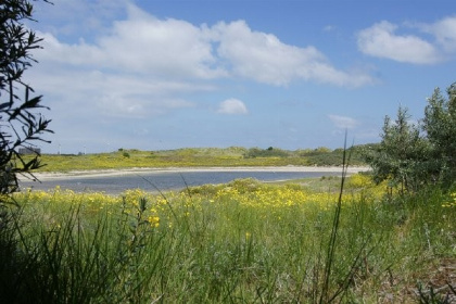 016 Groot 4 persoons vakantiechalet op mini camping vlakbij het Veerse Meer en Oostkapelle