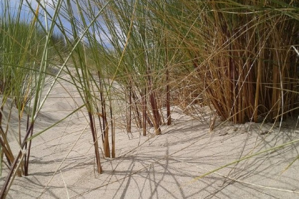 018 Groot 4 persoons vakantiechalet op mini camping vlakbij het Veerse Meer en Oostkapelle