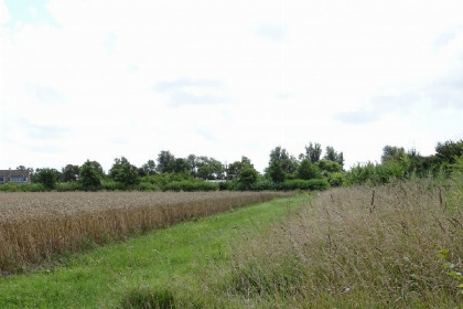 023 Groot 4 persoons vakantiechalet op mini camping vlakbij het Veerse Meer en Oostkapelle