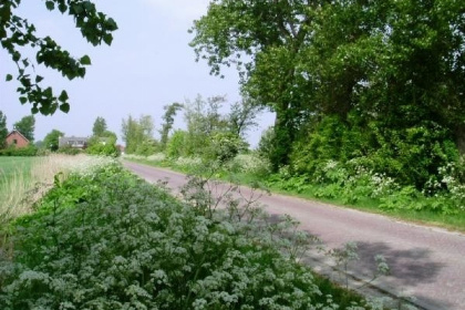 028 Groot 4 persoons vakantiechalet op mini camping vlakbij het Veerse Meer en Oostkapelle