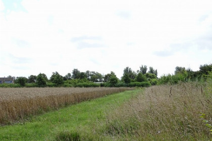 030 Groot 4 persoons vakantiechalet op mini camping vlakbij het Veerse Meer en Oostkapelle