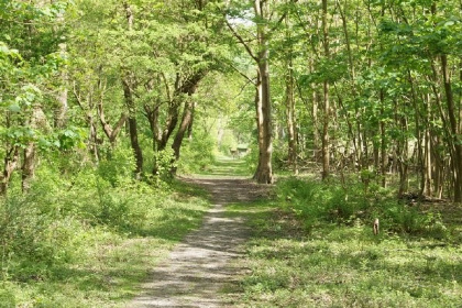 020 Groot 6 persoons vakantiechalet op mini camping vlakbij het Veerse Meer en Oostkapelle