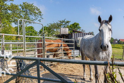 014 Landelijk gelegen 6 persoons vakantiewoning met speelvoorzieningen in tuin in Oostkapelle