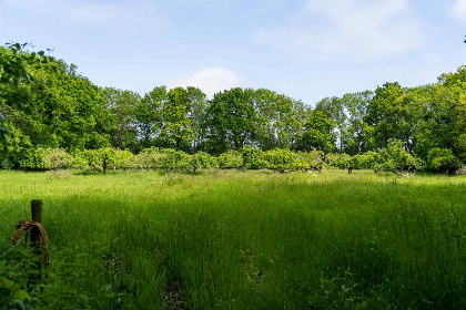 044 Luxe 10 persoons koetshuis met hottub incl. ontbijt op Iepenoord, dichtbij strand en bos