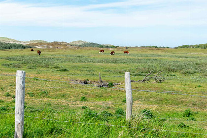 014 Sfeervol ingerichte 6 persoonswoning dichtbij het strand in Oostkapelle