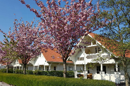 Nederland, Zeeland, Oostkapelle