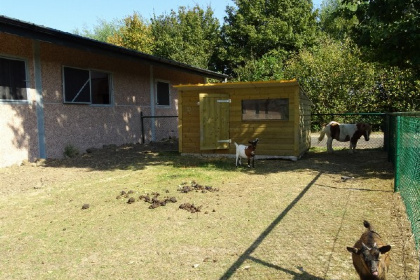 021 Een gezellig vakantiechalet voor 6 personen met een tuin in Ossenisse