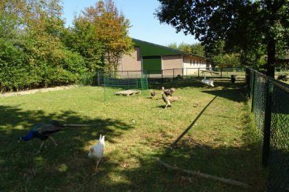 022 Een gezellig vakantiechalet voor 6 personen met een tuin in Ossenisse