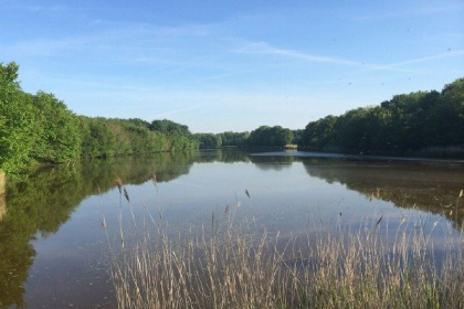 027 Ouwerkerk, Schouwen Duiveland 4 persoons lodge op gezellige camping