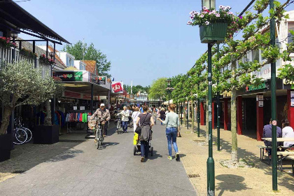 007 Mooi in de natuur gelegen 6 persoons vakantiehuis met een heerlijke tuin nabij Renesse