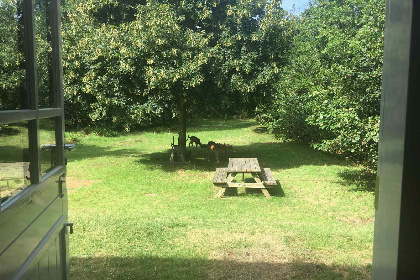 018 Mooi in de natuur gelegen 6 persoons vakantiehuis met een heerlijke tuin nabij Renesse