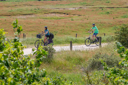 010 Vrijstaand 6 persoons vakantiehuis dichtbij de duinen van Renesse